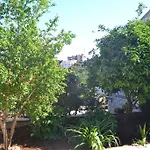 Madonna דוברובניק