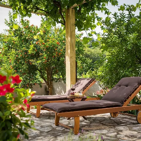 Madonna Guest house 3*
